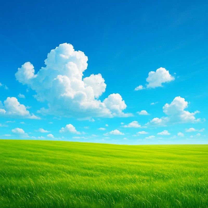 Картинка вверху экрана