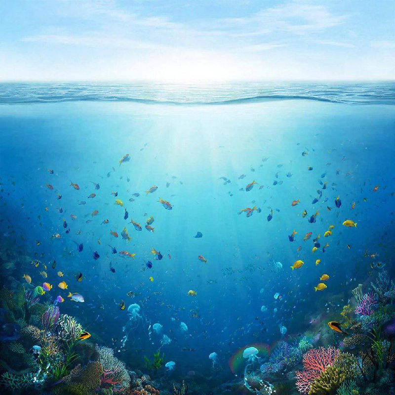 Картинка вверху экрана