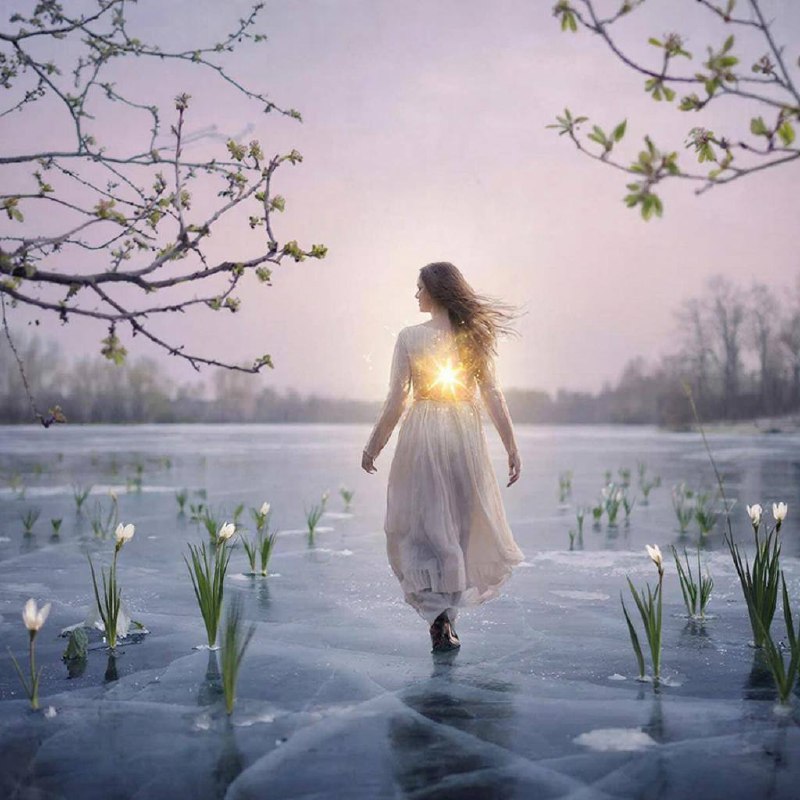 Картинка вверху экрана