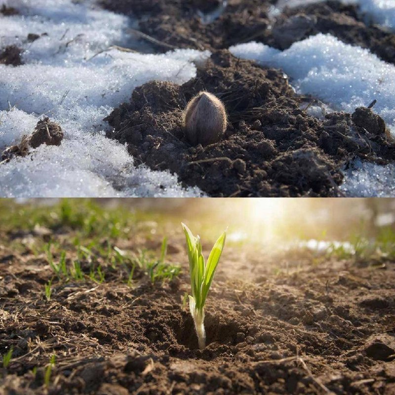 Картинка вверху экрана